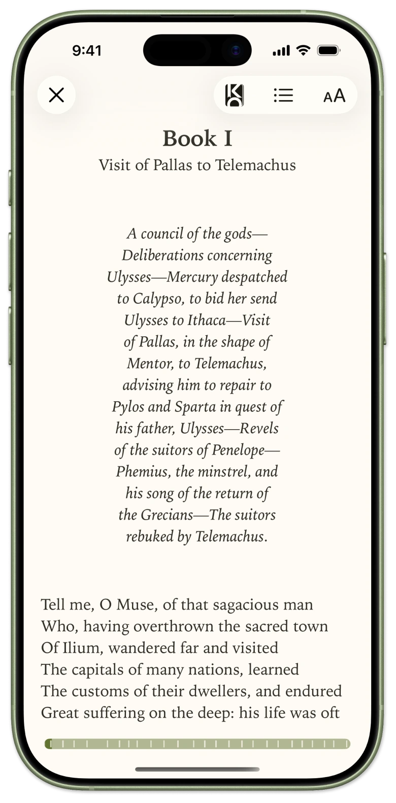 Leaf reading view on iPhone